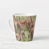 Impala in de Okavango Delta Latte Mok (Linkerhoek)