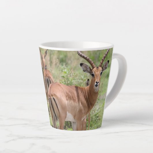 Impala in de Okavango Delta Latte Mok (Rechterhoek)