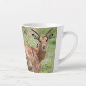 Impala in de Okavango Delta Latte Mok (Rechts)