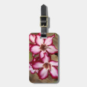 Impala lelie (Adenium Multiflorum), Kruger Bagagelabel (Voorkant verticaal)