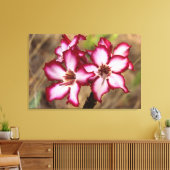 Impala lelie (Adenium Multiflorum), Kruger Canvas Afdruk (Insitu (Woonkamer))