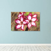 Impala lelie (Adenium Multiflorum), Kruger Canvas Afdruk (Insitu (Houten vloer))