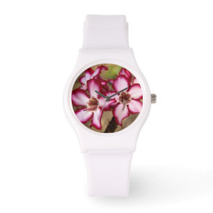 Impala lelie (Adenium Multiflorum), Kruger Horloge