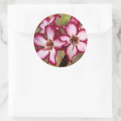 Impala lelie (Adenium Multiflorum), Kruger Ronde Sticker (Tas)