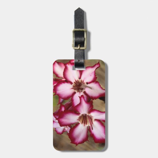 Impala Lily (Adenium Multiflorum), Kruger Bagagelabel (Voorkant verticaal)