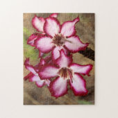 Impala Lily (Adenium Multiflorum), Kruger Legpuzzel (Verticaal)