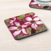 Impala Lily (Adenium Multiflorum), Kruger Onderzetter (Linkerzijde)