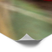 Impala Lily (Adenium Multiflorum), Kruger Poster (Hoek)