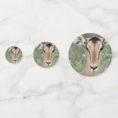 Impala Portrait Confetti (Achterkanten)