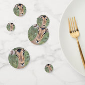 Impala Portrait Confetti (Groep)