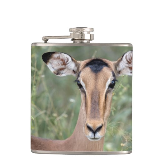 Impala Portrait Heupfles (Voorkant)