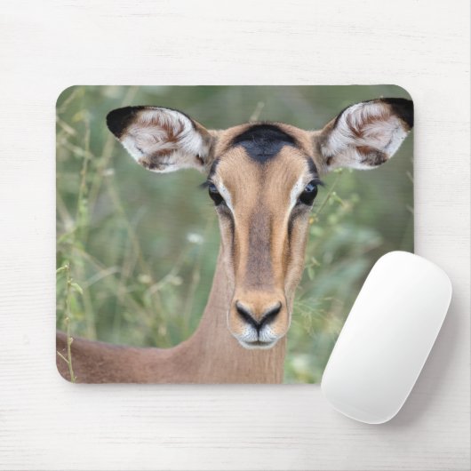 Impala Portrait Muismat (Met muis)