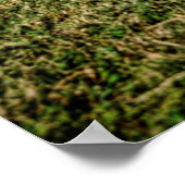 Impala Poster (Hoek)