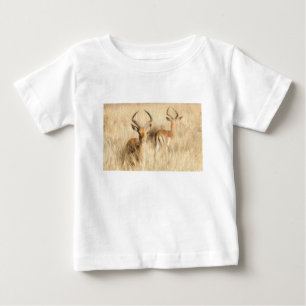 Impala Rooibok Aepyceros melampus olieverf effect