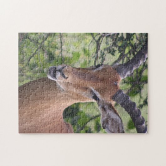 Impala Wildlife Jigsaw Puzzel (Horizontaal)