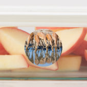 Impala's in het watergat labels (Aangebracht)