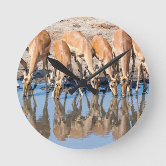 Impala's in het watergat ronde klok (Voorkant)