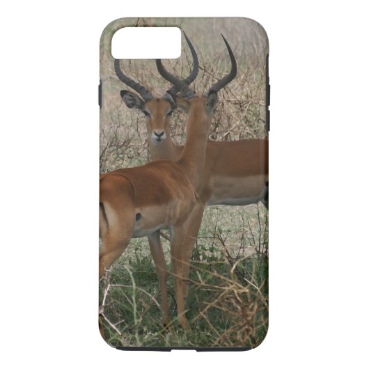 Impalen op de Serengeti Case-Mate iPhone Case (Achterkant)