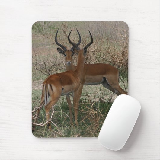 Impalen op de Serengeti Muismat (Met muis)