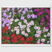 Impatiens Cadeaupapier (Vlak)