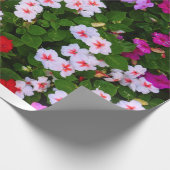 Impatiens Cadeaupapier (Hoek)