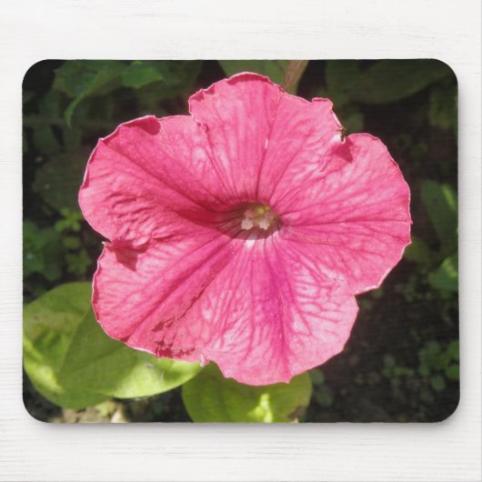 Impatiens Donk Roze Mousepad Muismat (Voorkant)