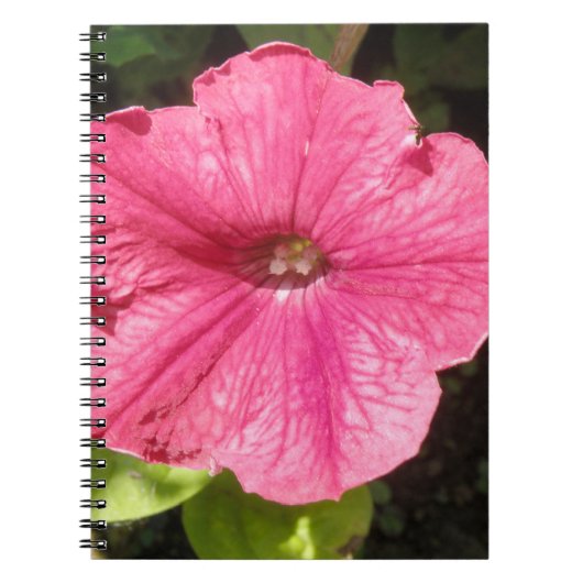 Impatiens Donker Roze Notitieboek (Voorkant)