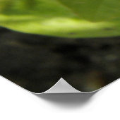 Impatiens donkerroze afdrukken poster (Hoek)