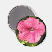 Impatiens donkerroze magneet (Voorkant / Achterkant)