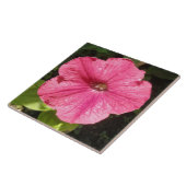 Impatiens donkerroze tegel tegeltje (Zijkant)