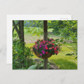 Impatiens in een hangmand briefkaart (Voorkant / Achterkant)