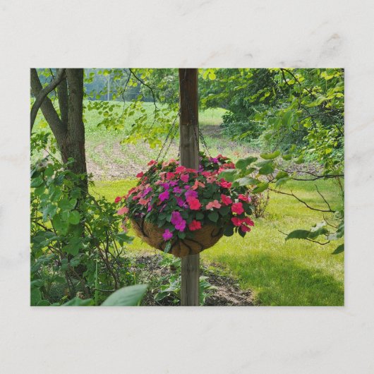 Impatiens in een hangmand briefkaart (Voorkant)