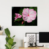 Impatiens Roze Witte Poster (Thuiskantoor)