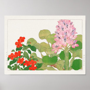 Impatiens, waterhyacinte door Tanigami Konan Poster