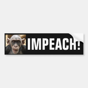 IMPEACH OBAMA! BUMPERSTICKER
