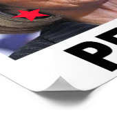 IMPEACH SOCIALIST DEMOCRATS POSTER (Hoek)