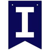 Impeach Trump rood wit blauw Vlaggetjes (Tweede vlag)