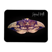 Imperial Moth Magneet (Horizontaal)