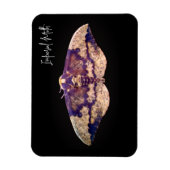 Imperial Moth Magneet (Verticaal)