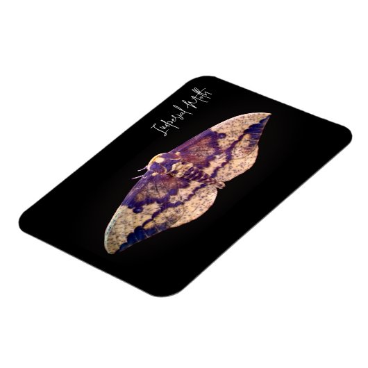 Imperial Moth Magneet (Linkerzijde)