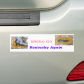 IMPERIAL RED Kentucky agate BUMPERSTICKER (Op auto)