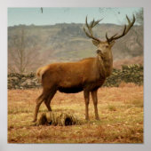 Imperial Stag Poster (Voorkant)