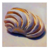 Imperial Venus Shell Poster (Voorkant)