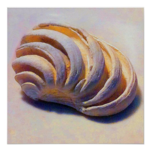 Imperial Venus Shell Poster (Voorkant)