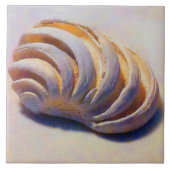 Imperial Venus Shell Tegeltje (Voorkant)