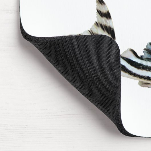 “Imperial Zebra Pleco”の優良製品 Muismat (Hoek)