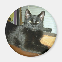 Imperieel kat magneet