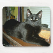 Imperieel kat muismat (Voorkant)