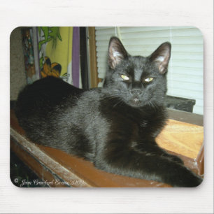 Imperieel kat muismat