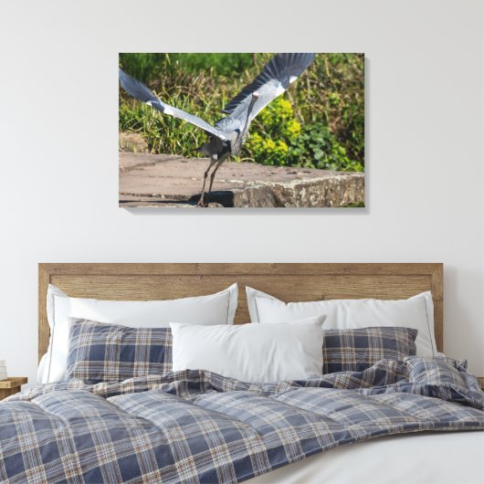 Imposanter Graureiher Canvas Afdruk (Insitu (Slaapkamer))